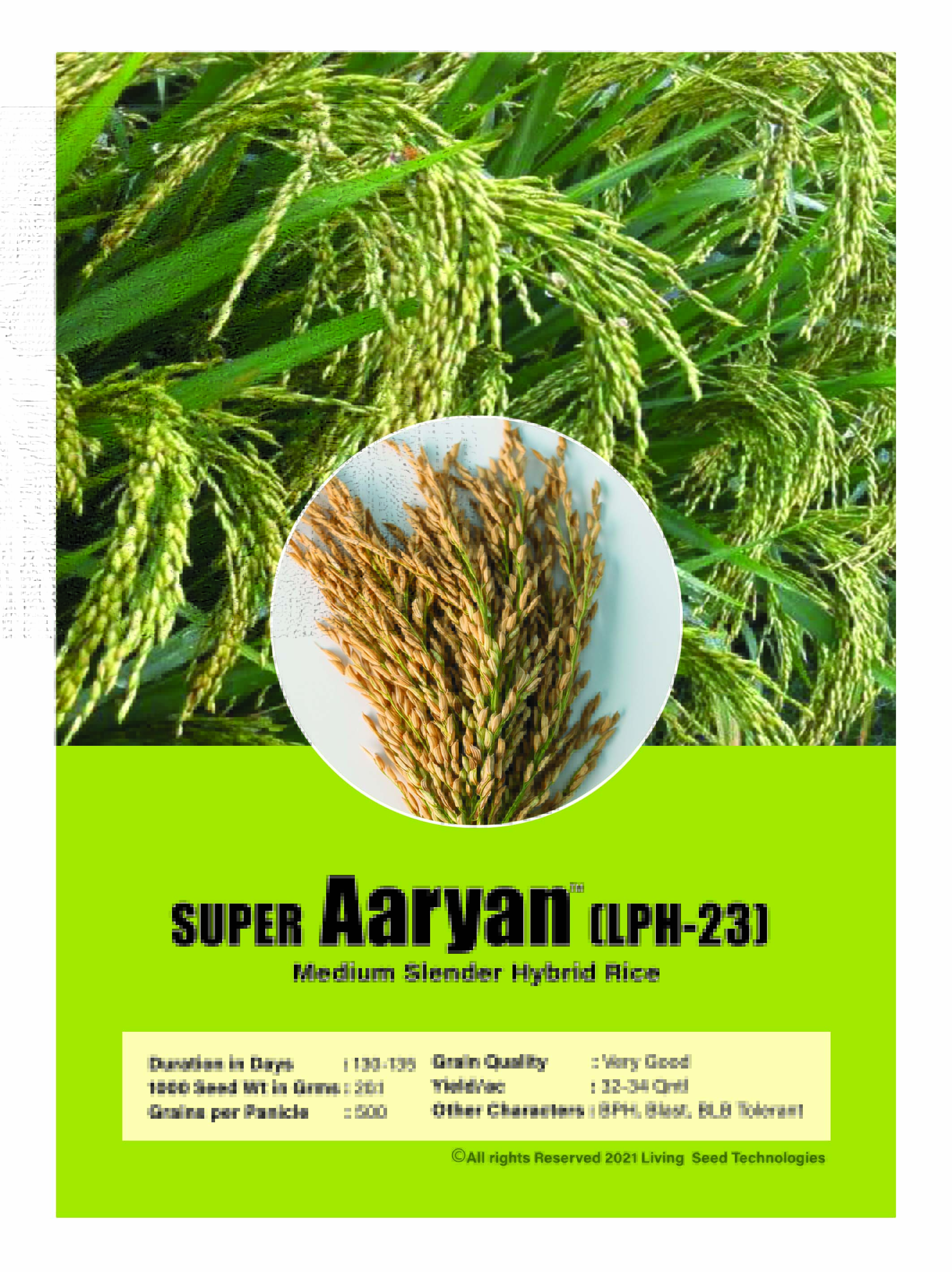 Super Aaryan