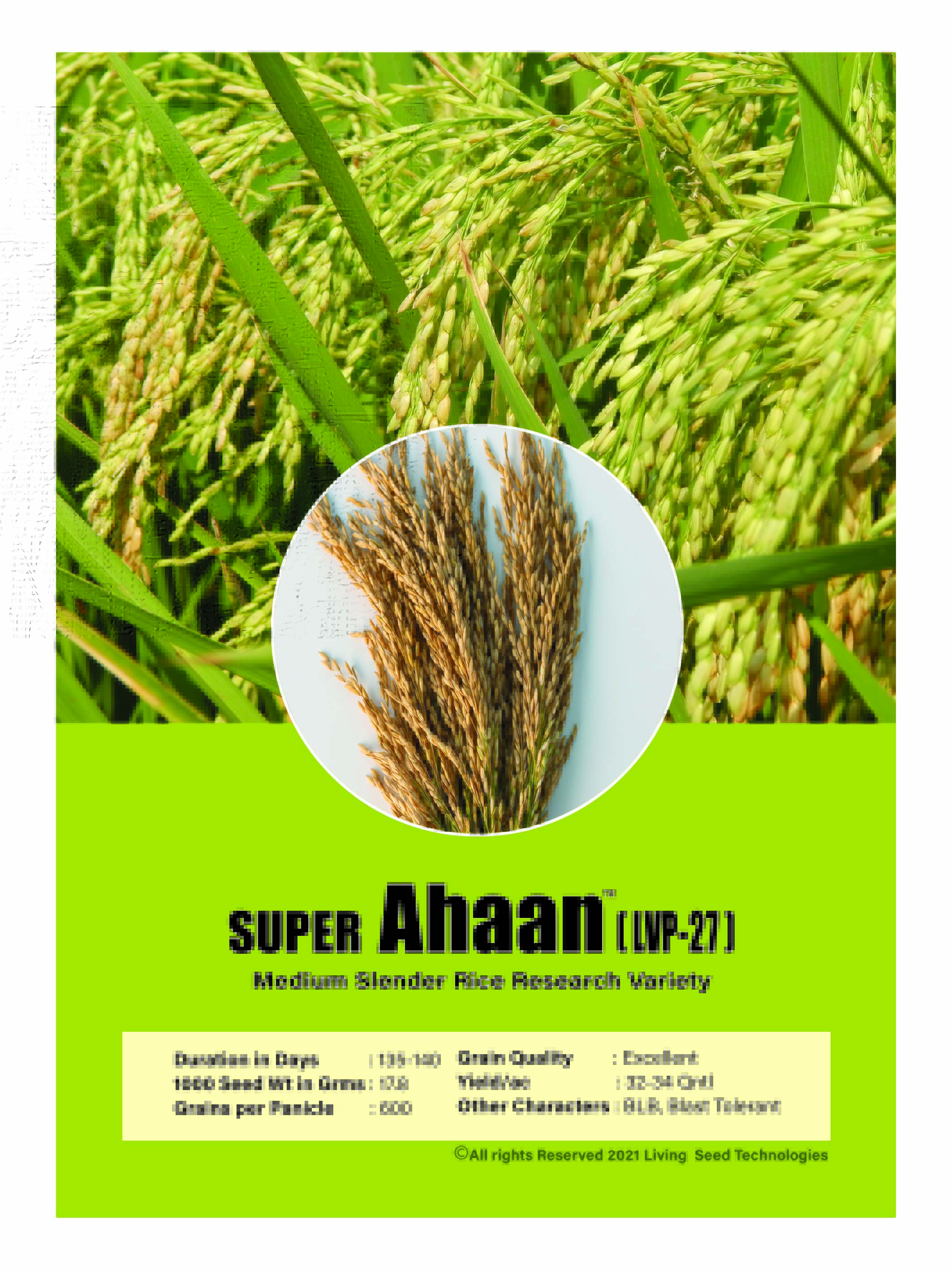 Super Ahaan