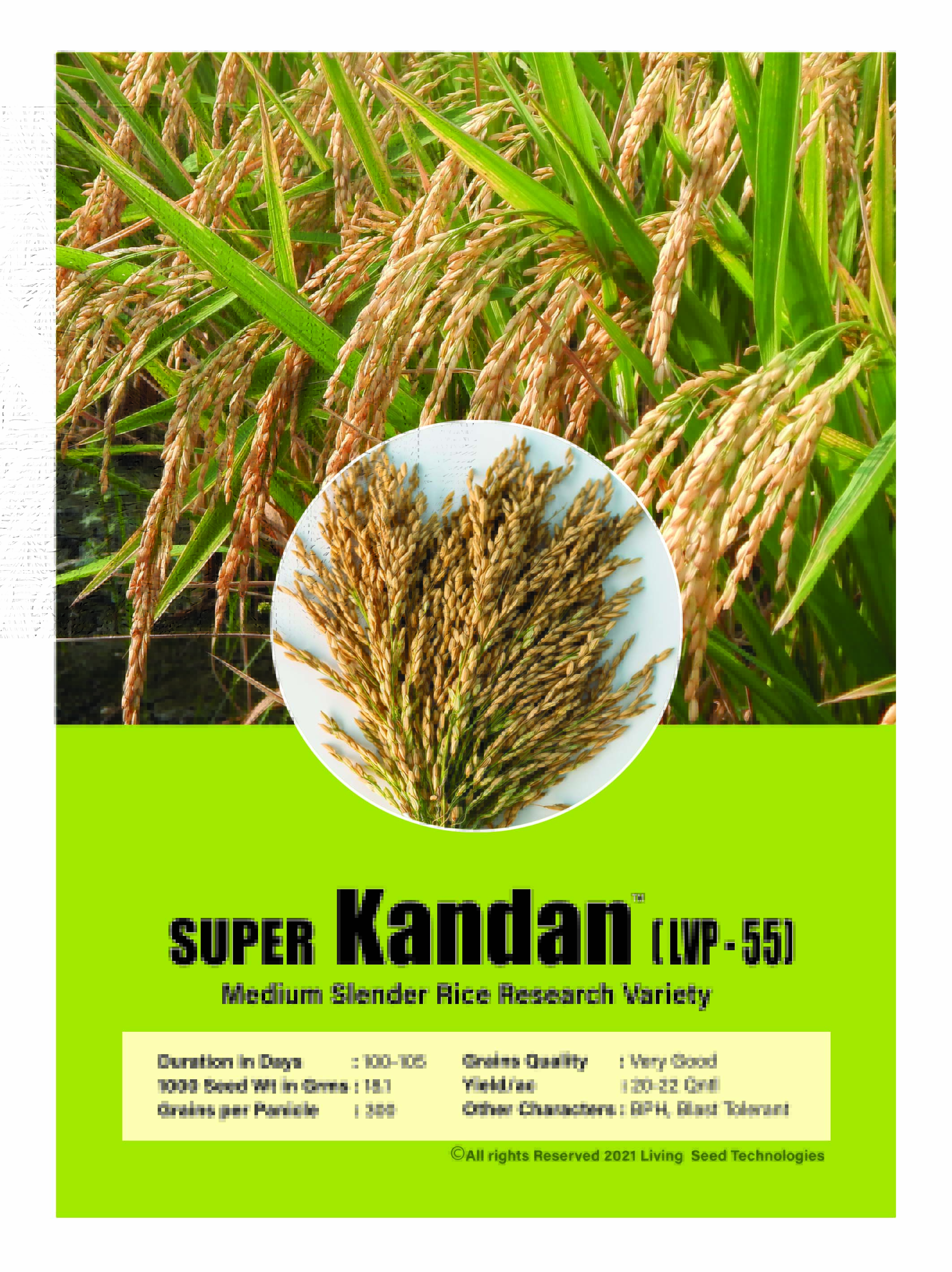 Super Kandan