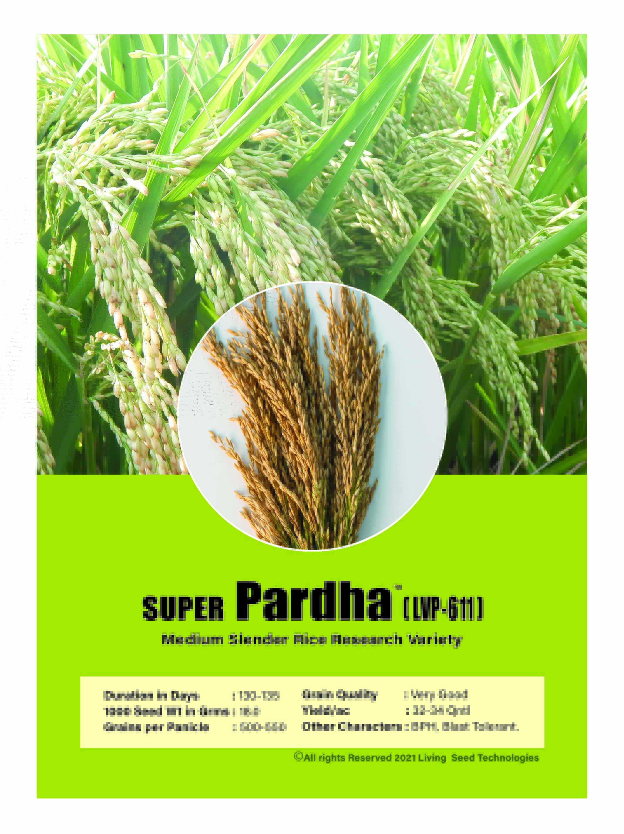Super Pardha