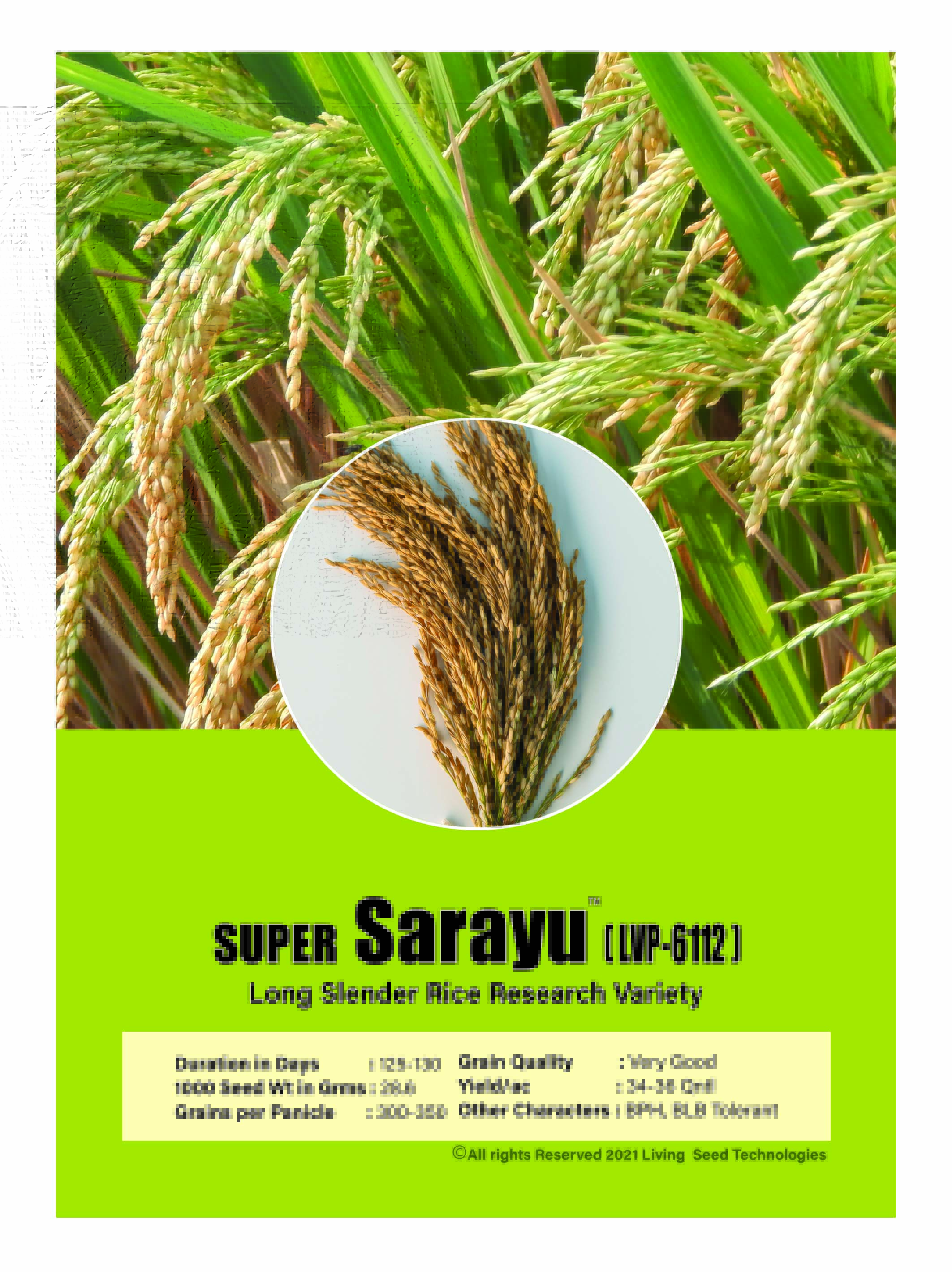 Super Sarayu