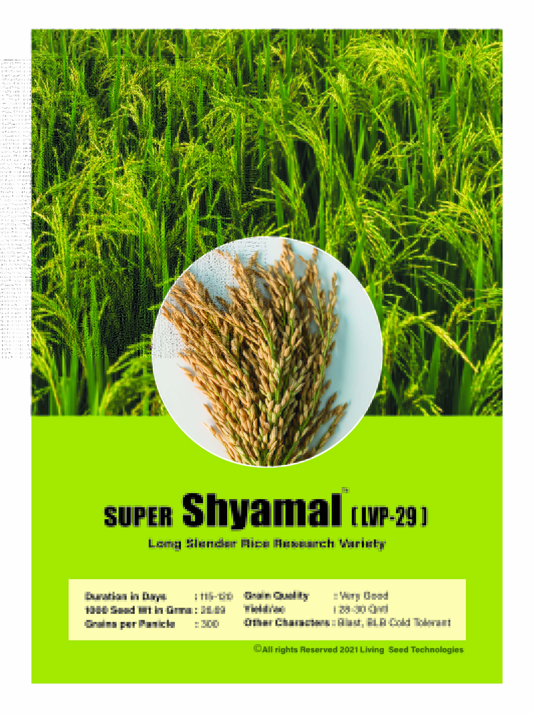 Super Shyamal