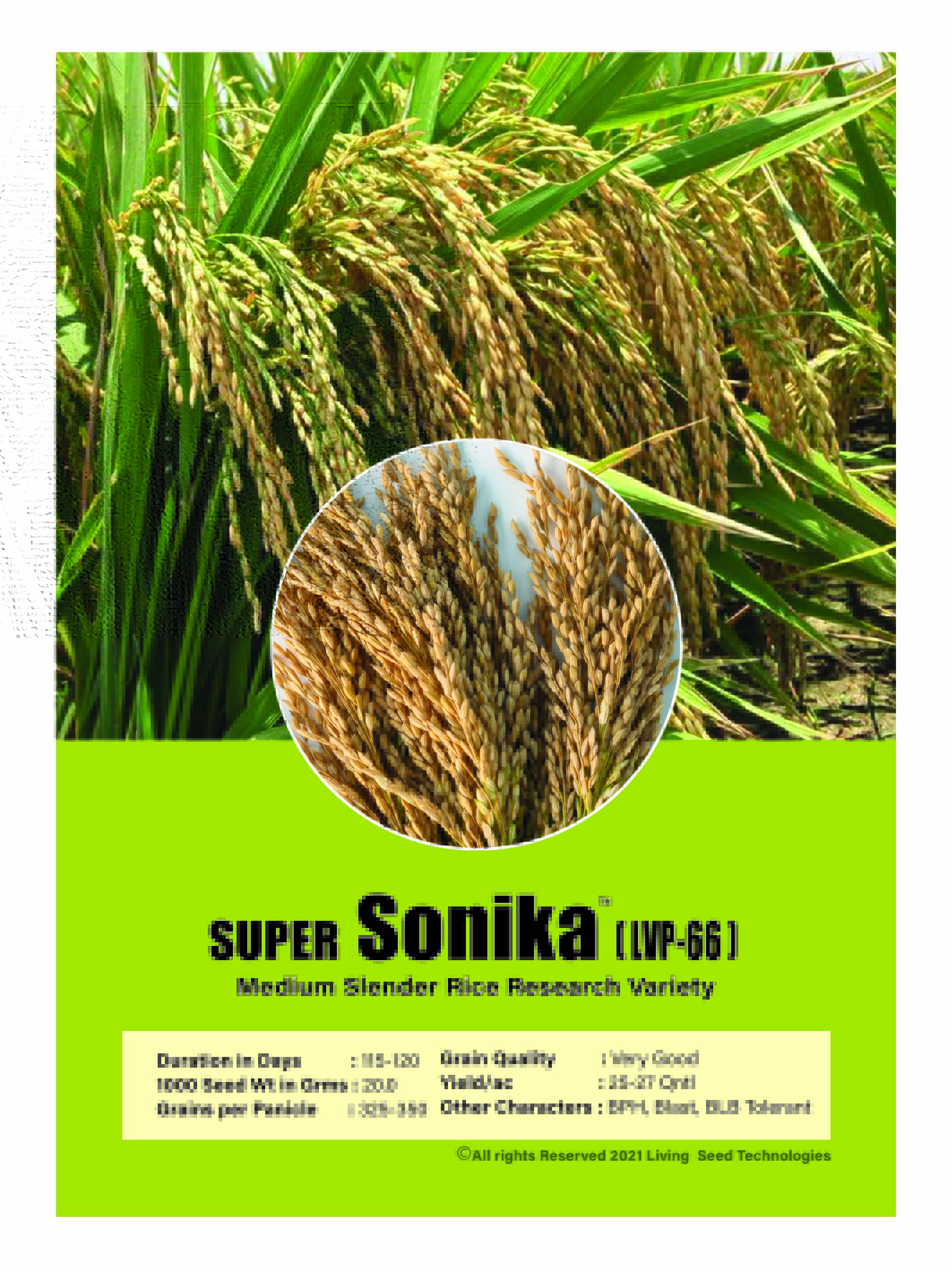 Super Sonika